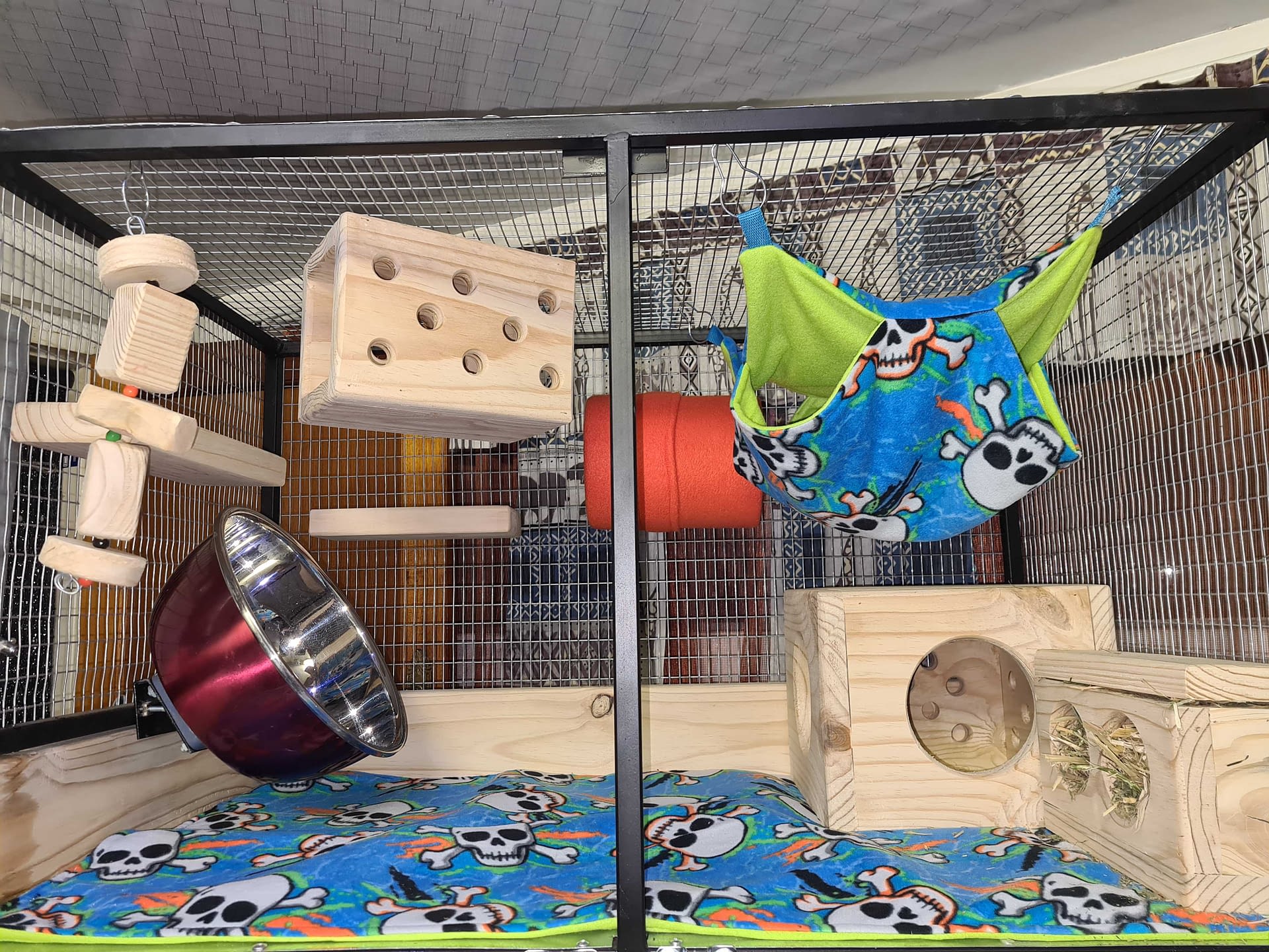 custom chinchilla cages